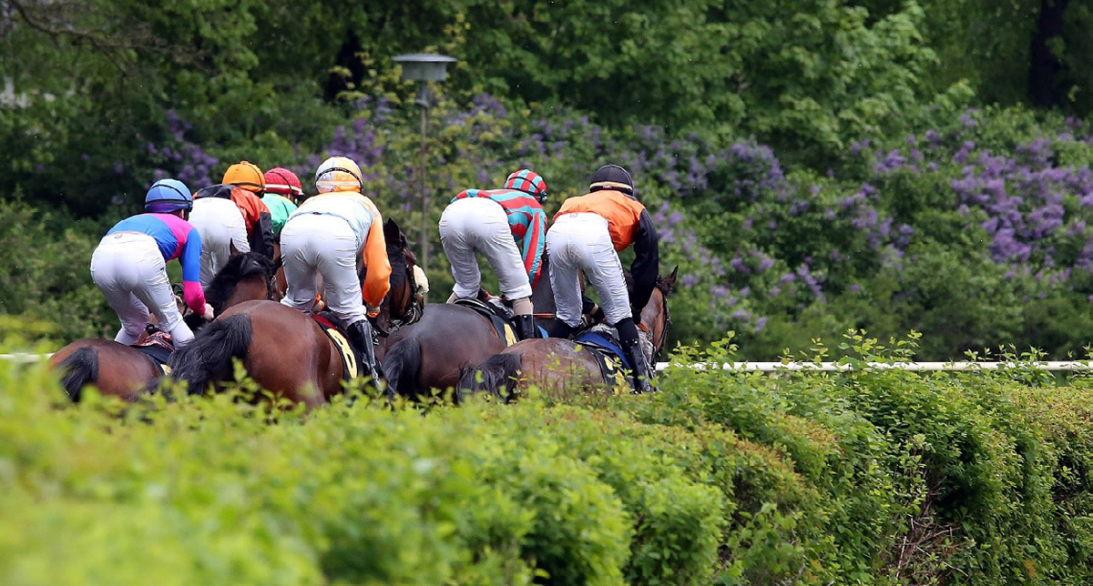 Rennwochenende Der Kontraste - Rennbahn Hoppegarten