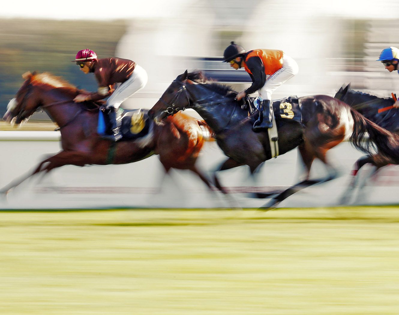 Rennbahn Hoppegarten | Pferde- Und Galopprennen In Berlin